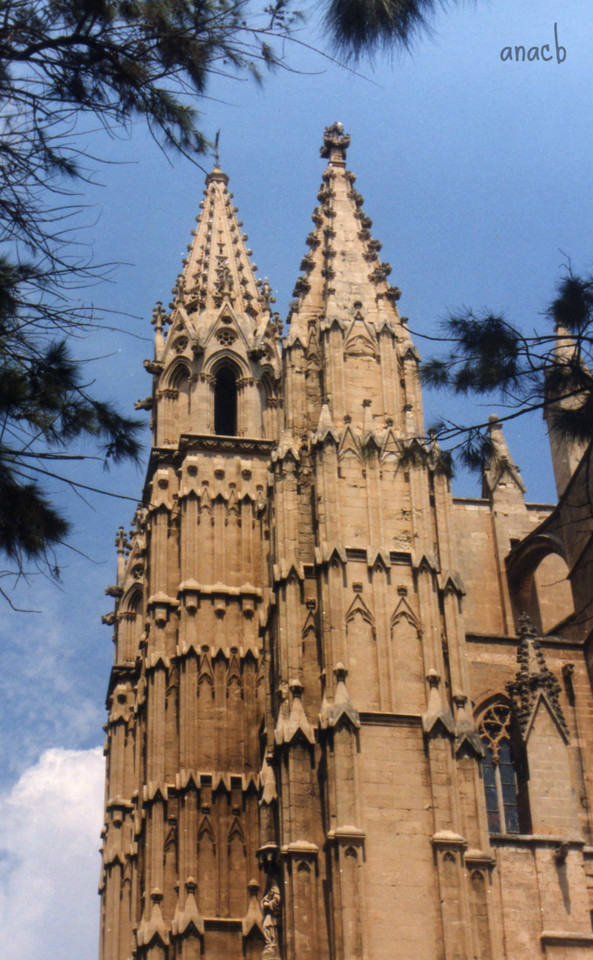 ao acaso #36 Catedral de Maiorca, Baleares, Espanh
