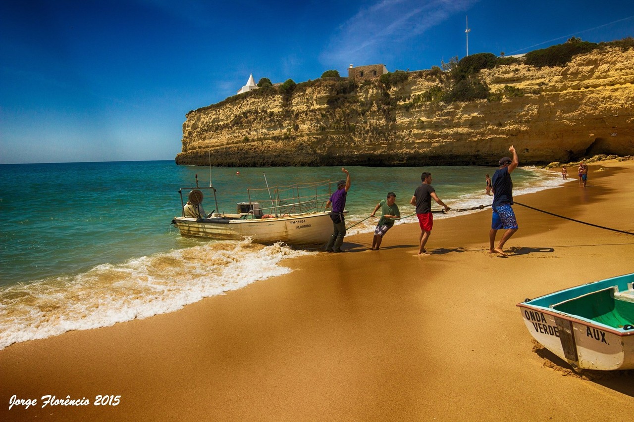 885086_501224476716617_1127925426932805445_o.jpg 885086_501224476716617_1127925426932805445_o.jpg