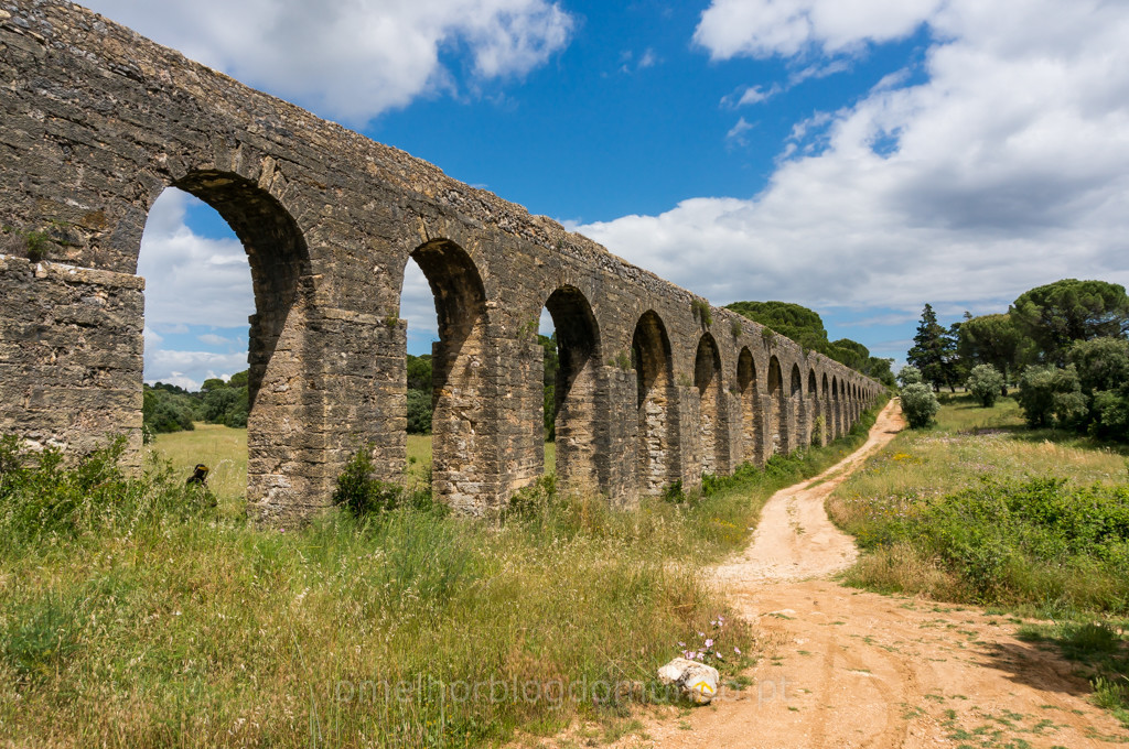 _DSC7322.jpg _DSC7322.jpg