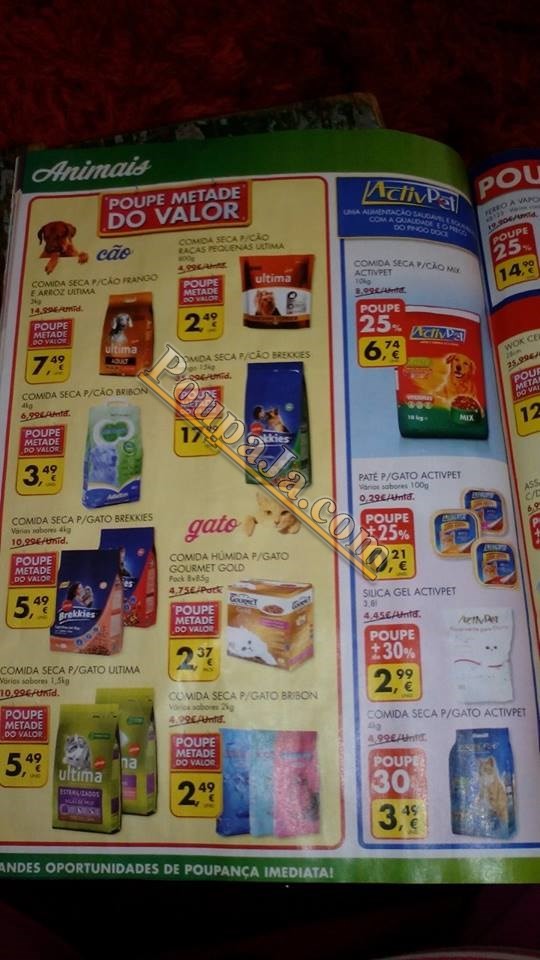 watermarked-1888445_10201953908568644_746066135095