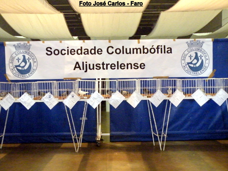 Aljustrel 2017 042.JPG