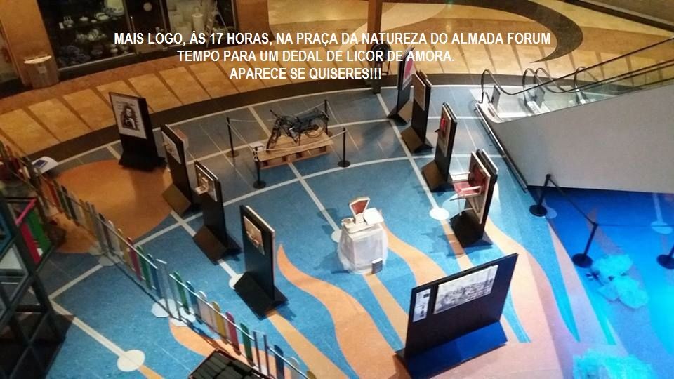 16807669_1400033840069355_3610516460611167745_n.jp