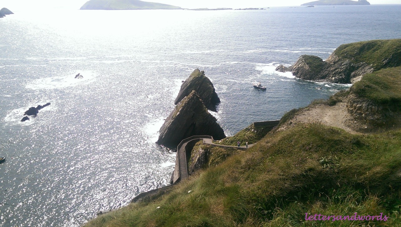 IMAG7423.jpg IMAG7423.jpg