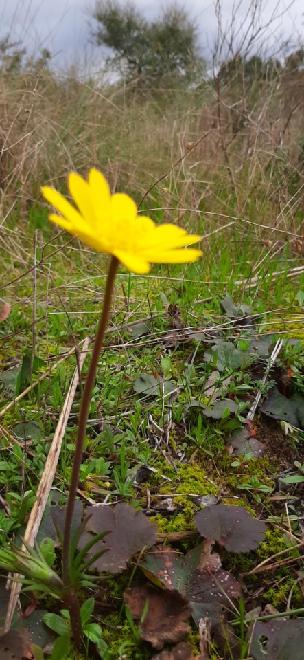 20210221_112954.jpg 20210221_112954.jpg