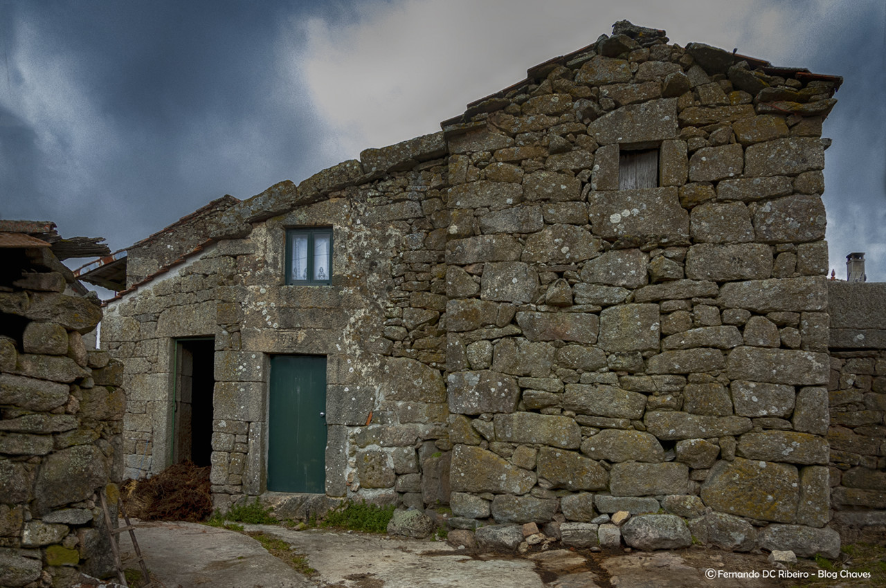 1600-cepeda (63)-video.jpg