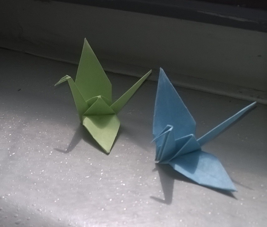 origami no catamarã.jpg
