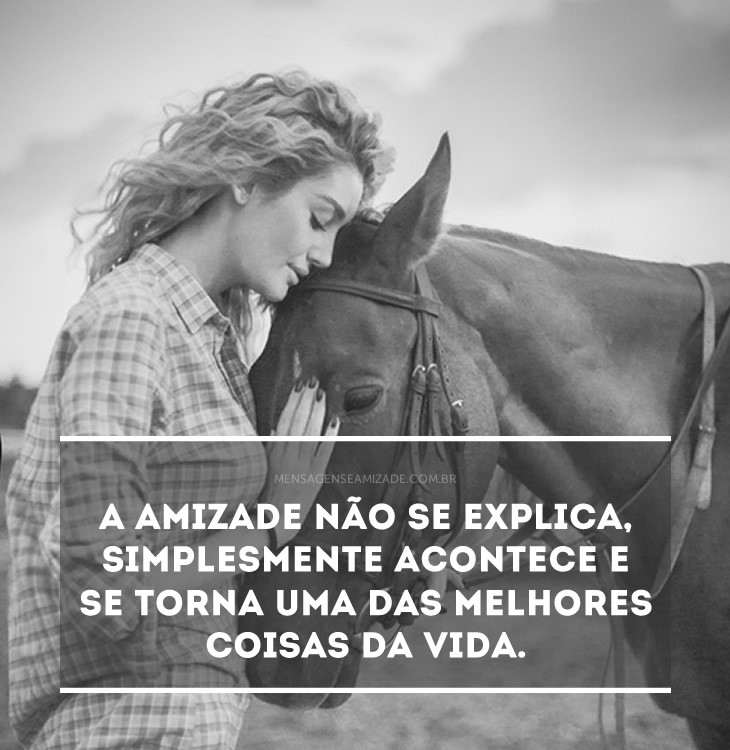 a-amizade-nao-se-explica1.jpg