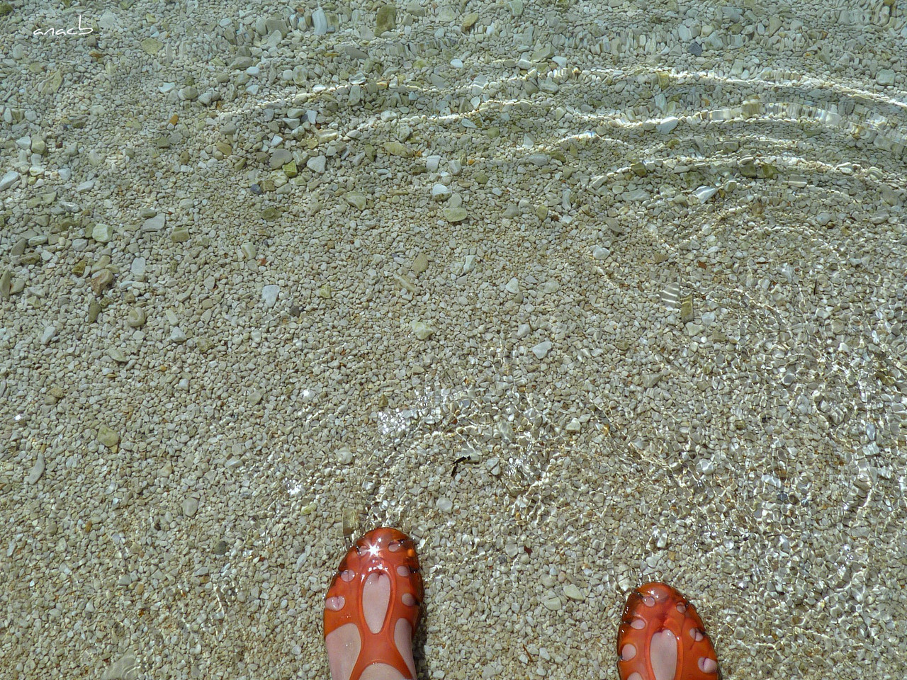 Seget Donji - Trogir.jpg