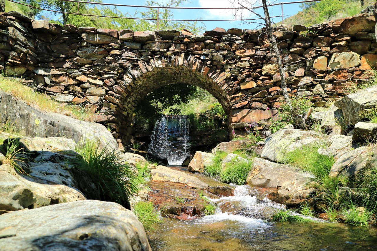 IMG_0311.JPG IMG_0311.JPG