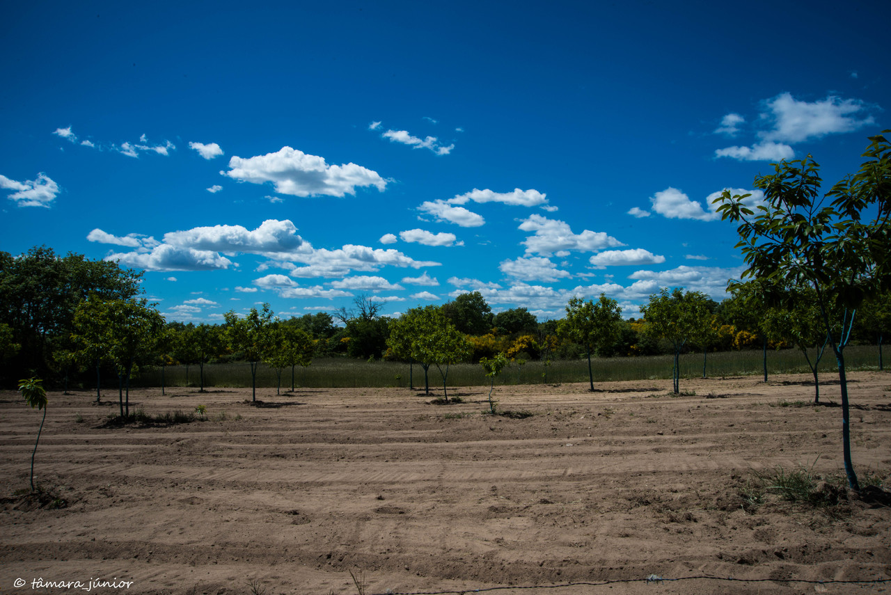 32.- Vagueando pela Montanha.jpg