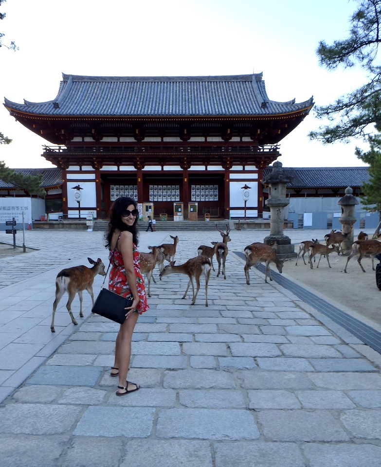 fullsizeoutput_1760.jpeg fullsizeoutput_1760.jpeg