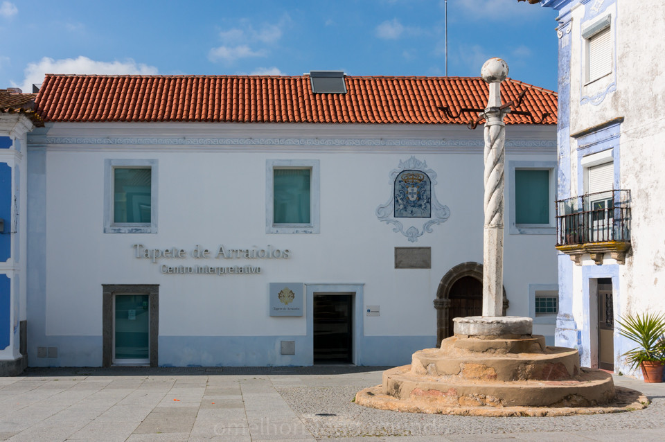 DSC08161.jpg DSC08161.jpg