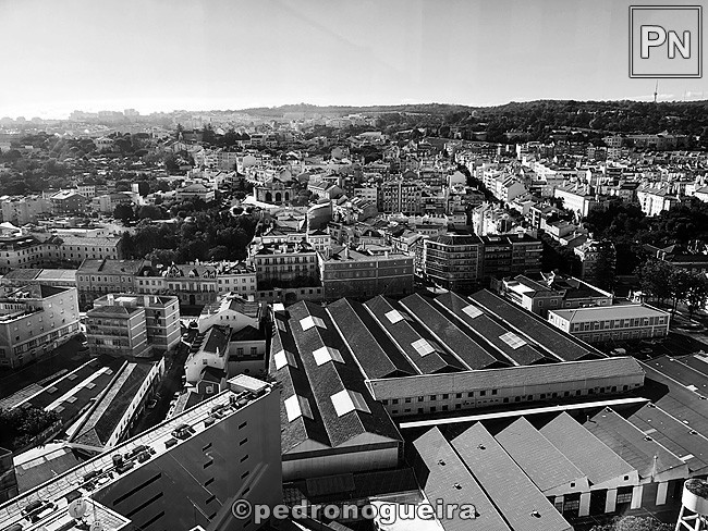 Jul_2018_130 650px.jpg Jul_2018_130 650px.jpg