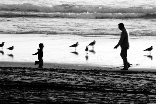 8544161_ekfcD.jpeg 8544161_ekfcD.jpeg