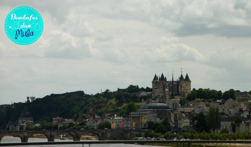 IMG_3588(1).jpg IMG_3588(1).jpg