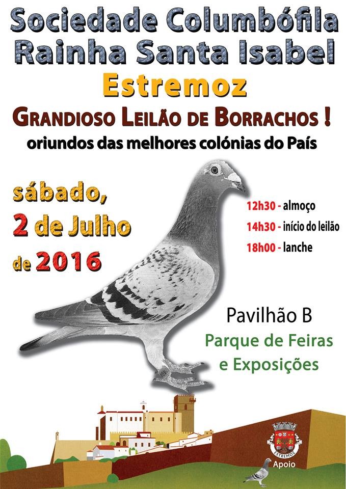 Leilão Estremoz.jpg