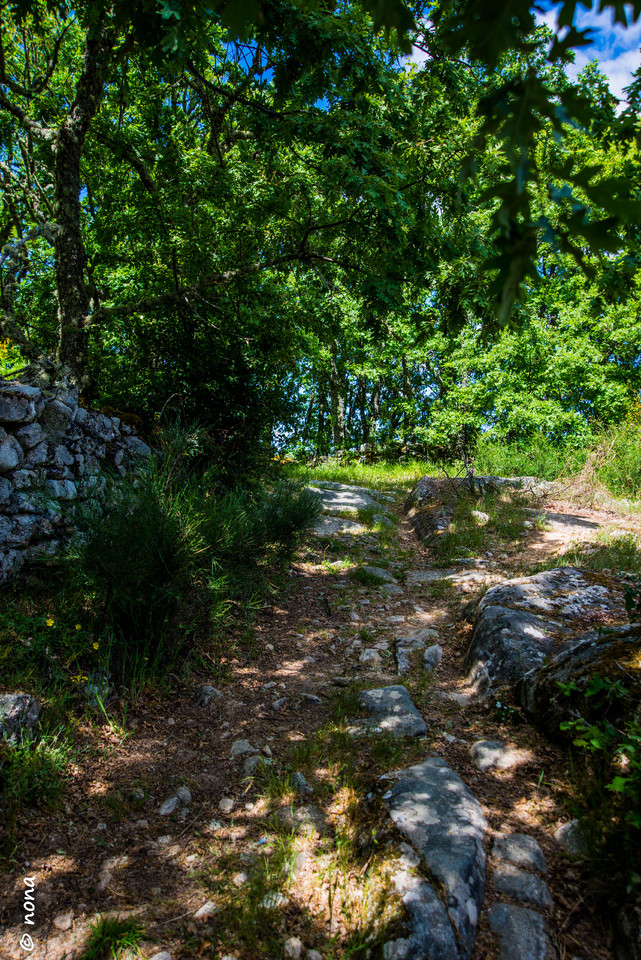 38.- Vagueando pela Montanha.jpg