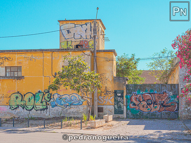 Jul_2023_106 650px.jpg