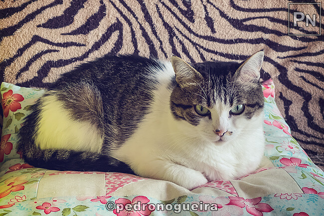 Set_2022_009 650px.jpg