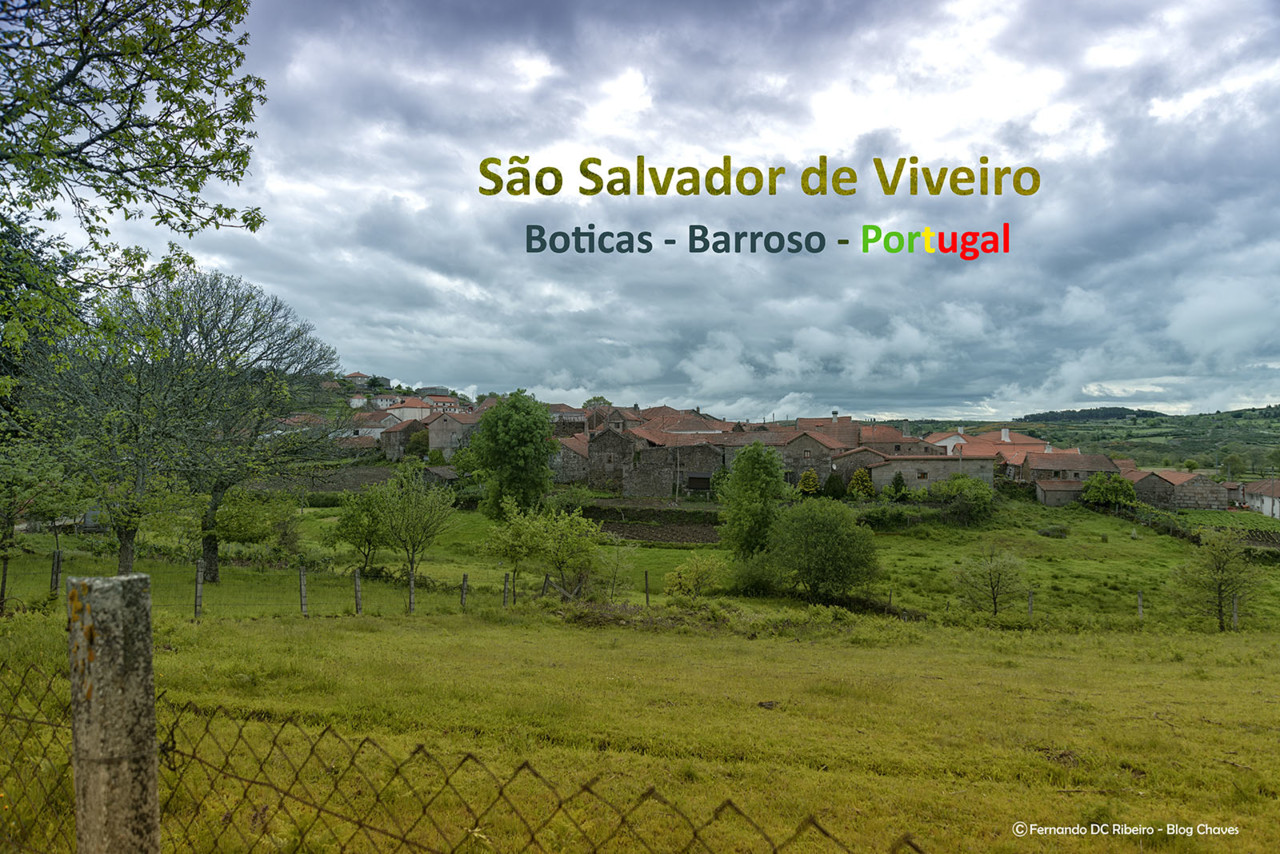 1600-viveiros (193).jpg 1600-viveiros (193).jpg