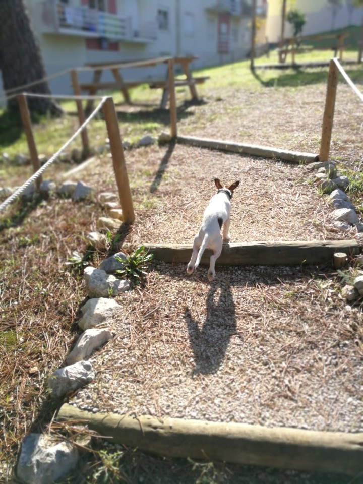 WhatsApp Image 2018-11-14 at 13.21.37.jpeg