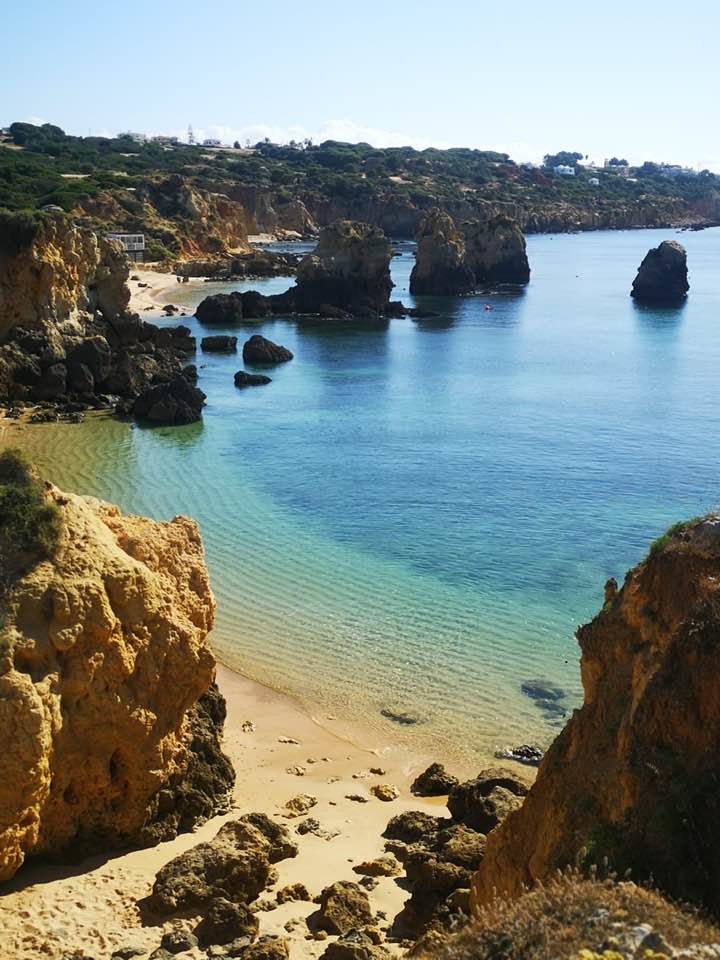 verao ze mario lucio.jpg verao ze mario lucio.jpg