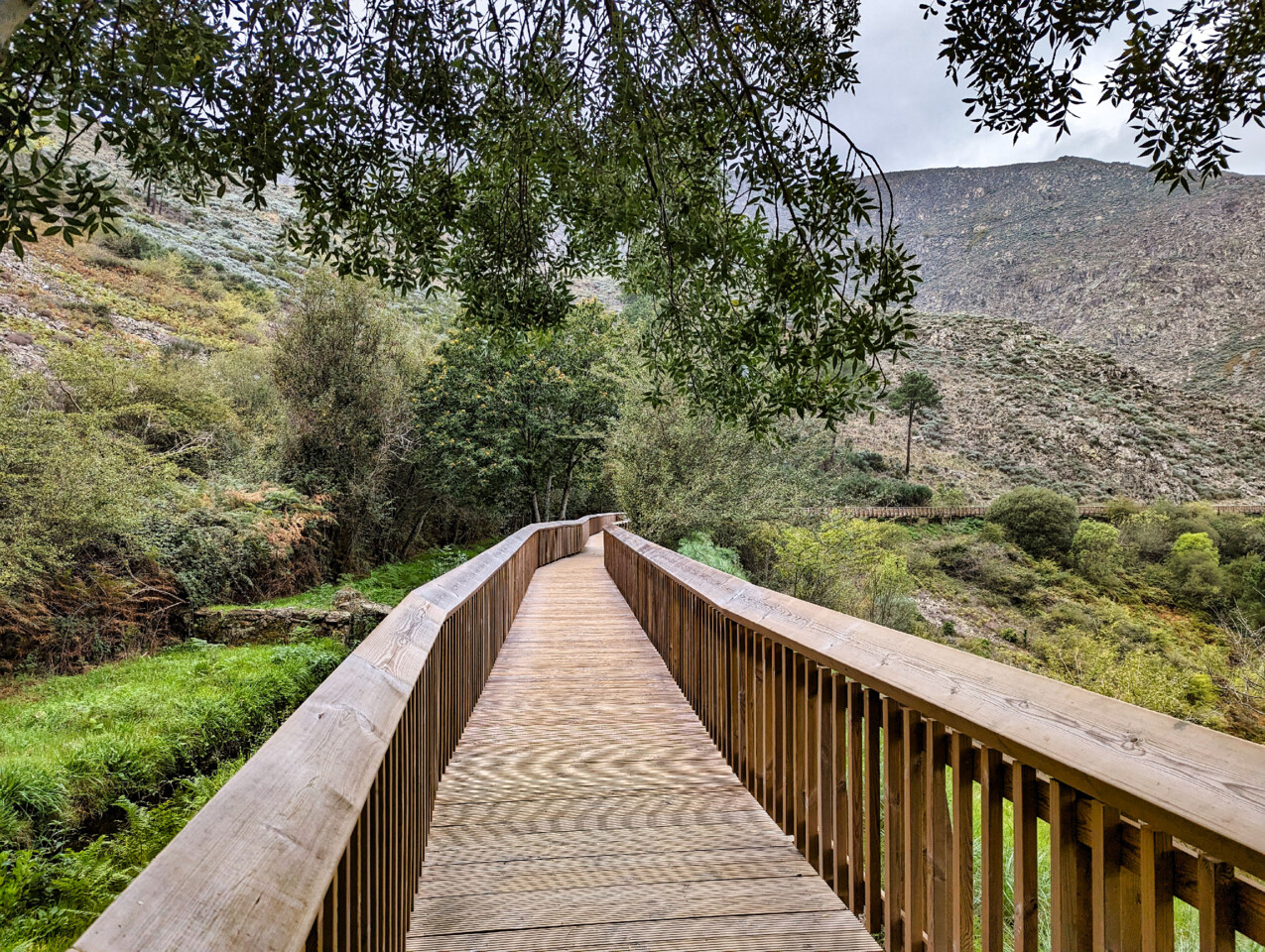 Passadiços do Mondego4.jpg