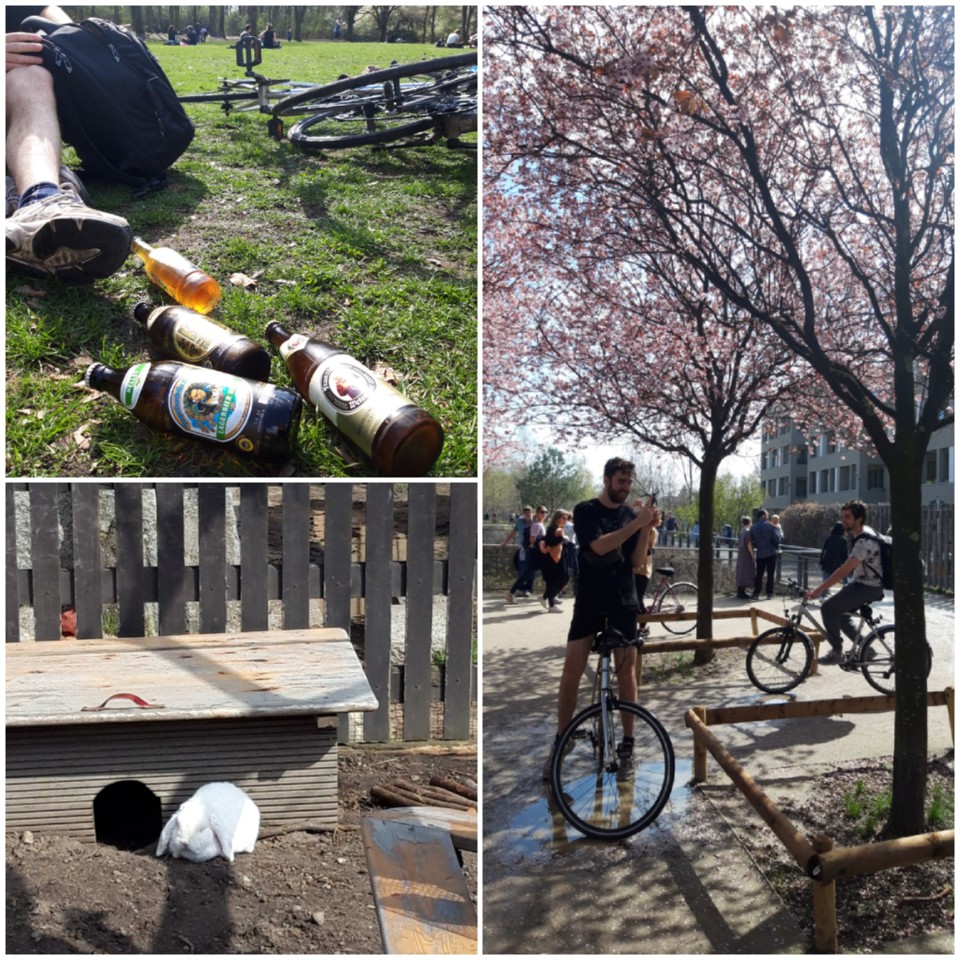 20210412_003403.jpg 20210412_003403.jpg