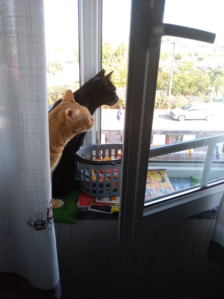 IMG_20190916_171123.jpg IMG_20190916_171123.jpg