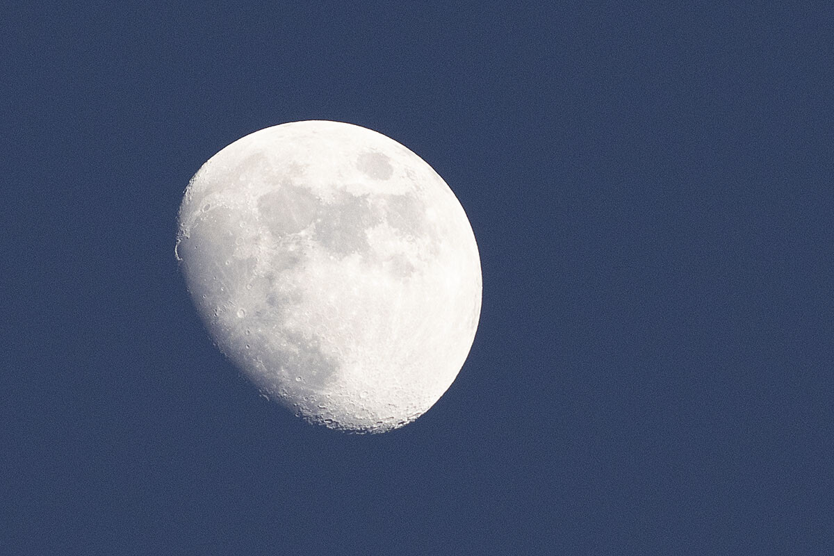 OPO-LPPR' 23 0215.jpg