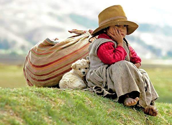 FB_IMG_1441231332063.jpg FB_IMG_1441231332063.jpg