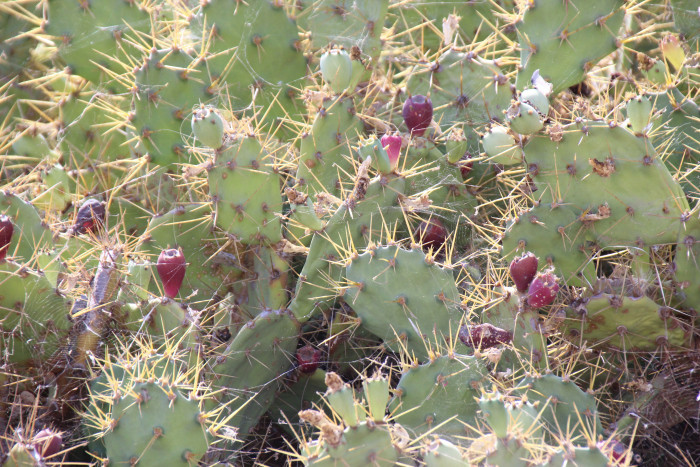 img_8489.jpg img_8489.jpg