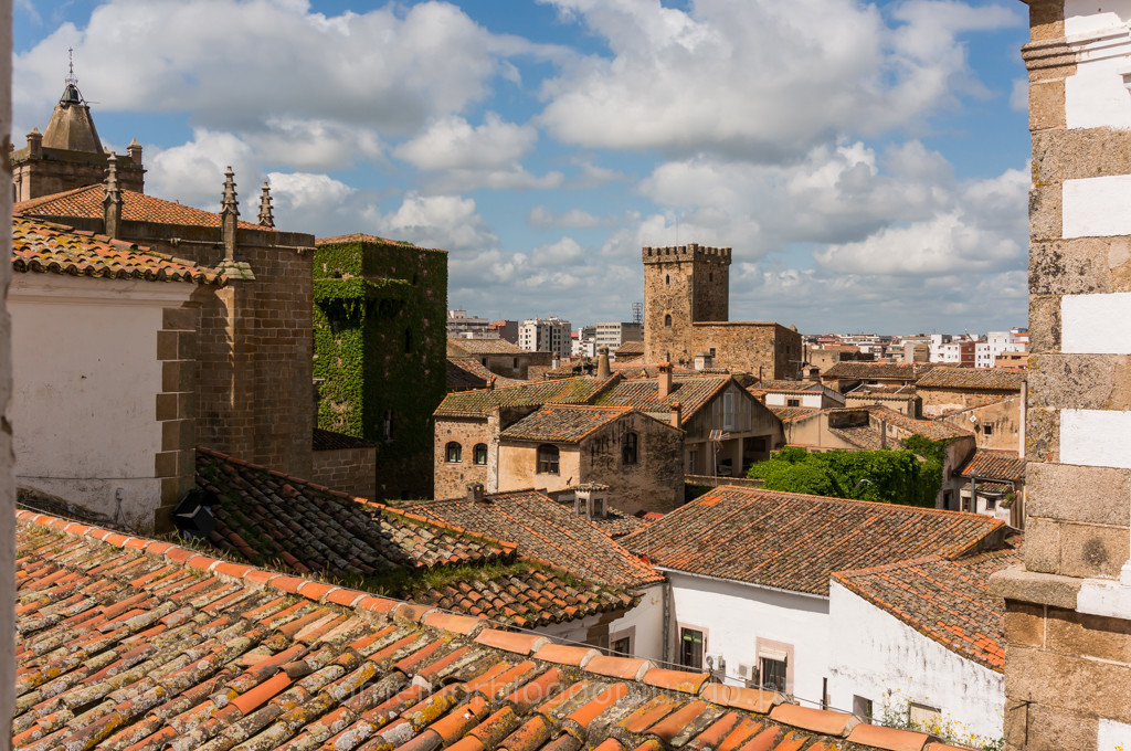 _DSC6267.jpg _DSC6267.jpg