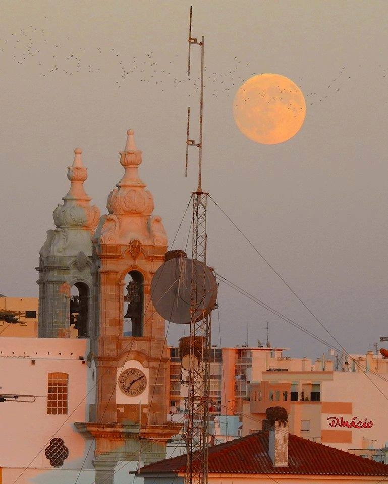 26814631_837666403072421_3898990514022174040_n.jpg 26814631_837666403072421_3898990514022174040_n.jpg