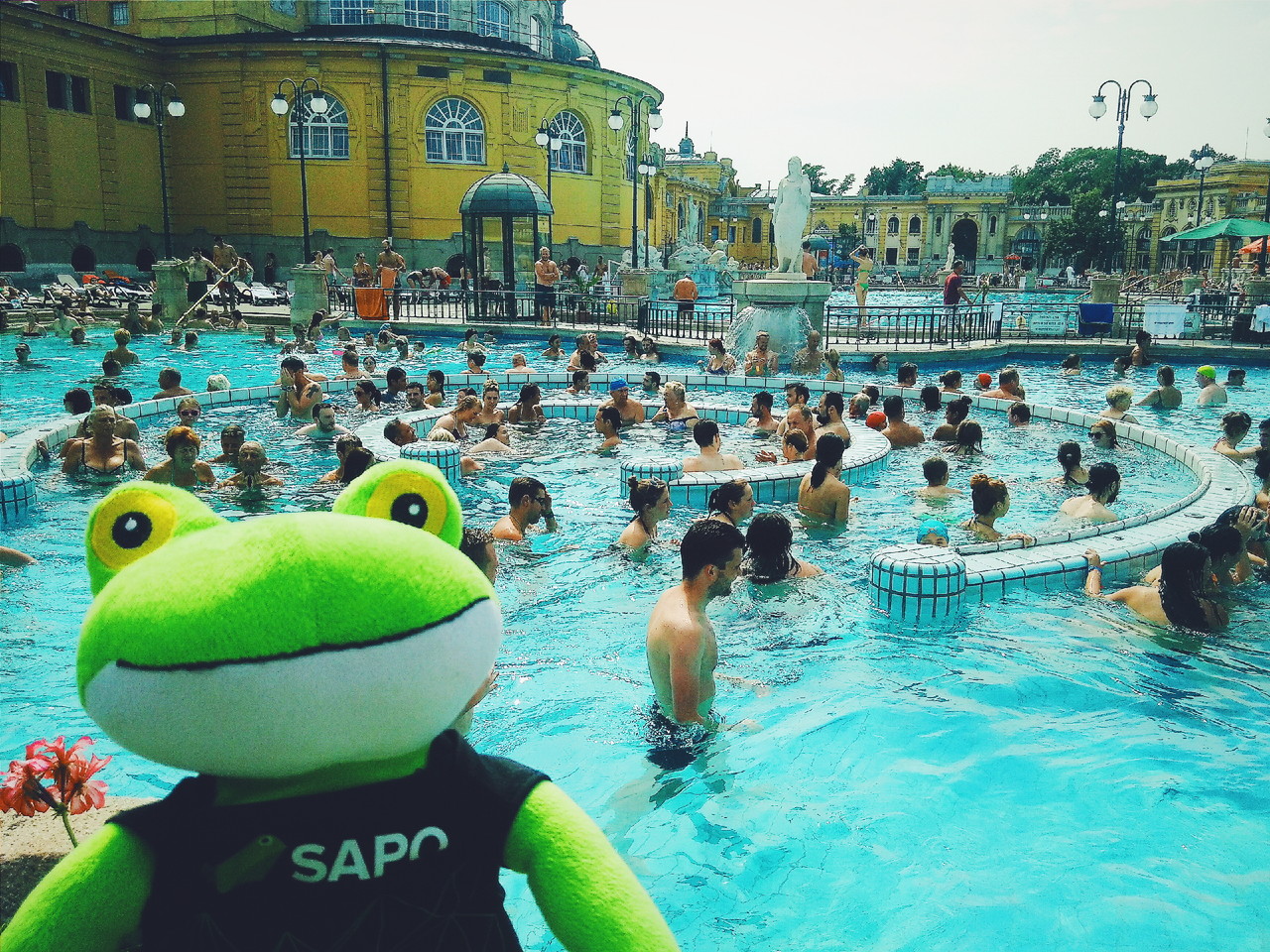 2016-09-03 02.38.27 1.jpg