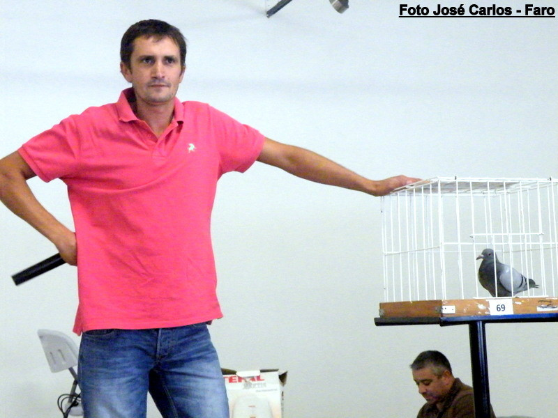 Leilão Serpa 2017 041.JPG