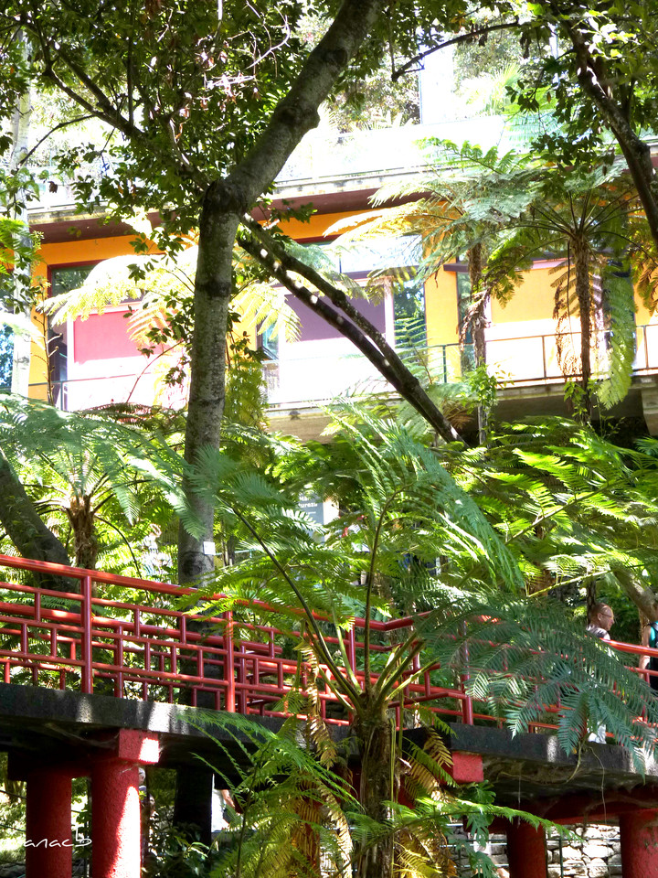 Funchal - Jardins Monte Palace (801) cópia assin.