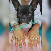 13096351_1197771550242278_7565191865430850040_n.jp 13096351_1197771550242278_7565191865430850040_n.jp