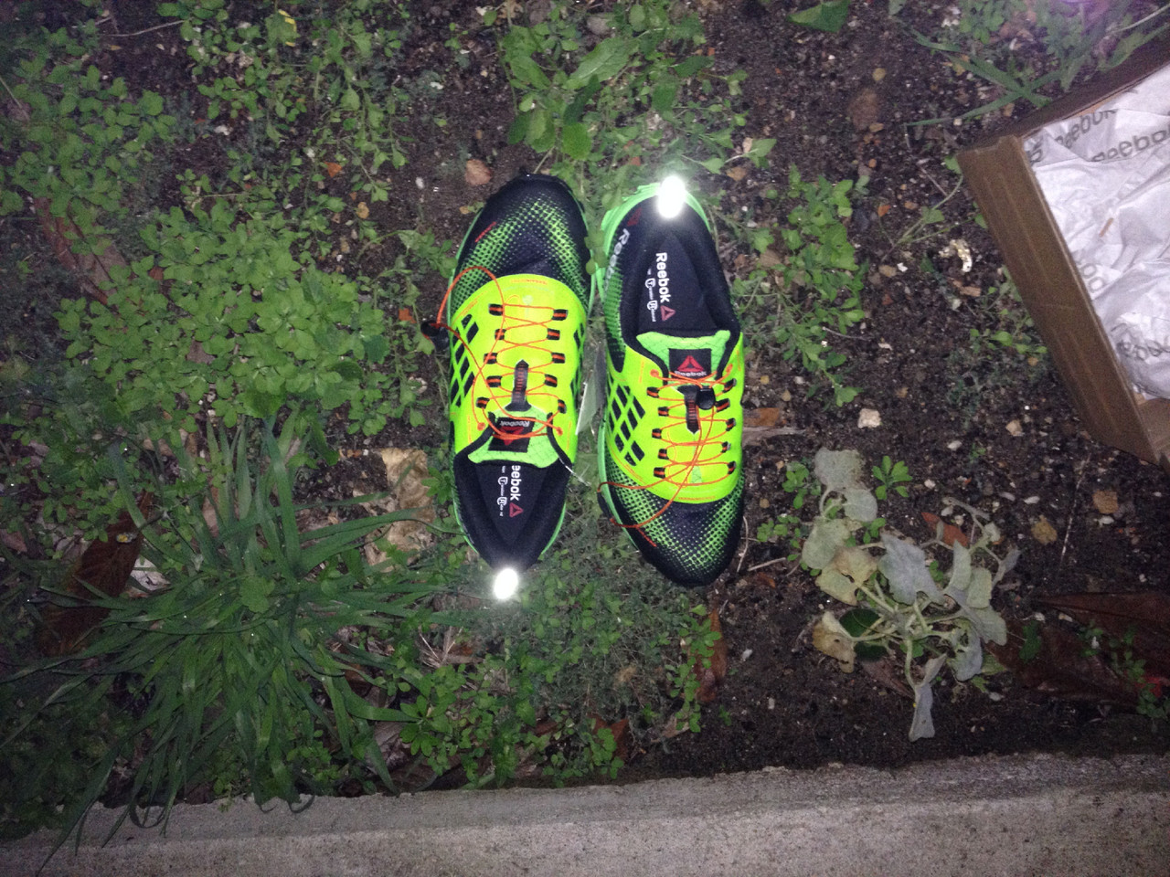 20141015_15.JPG 20141015_15.JPG