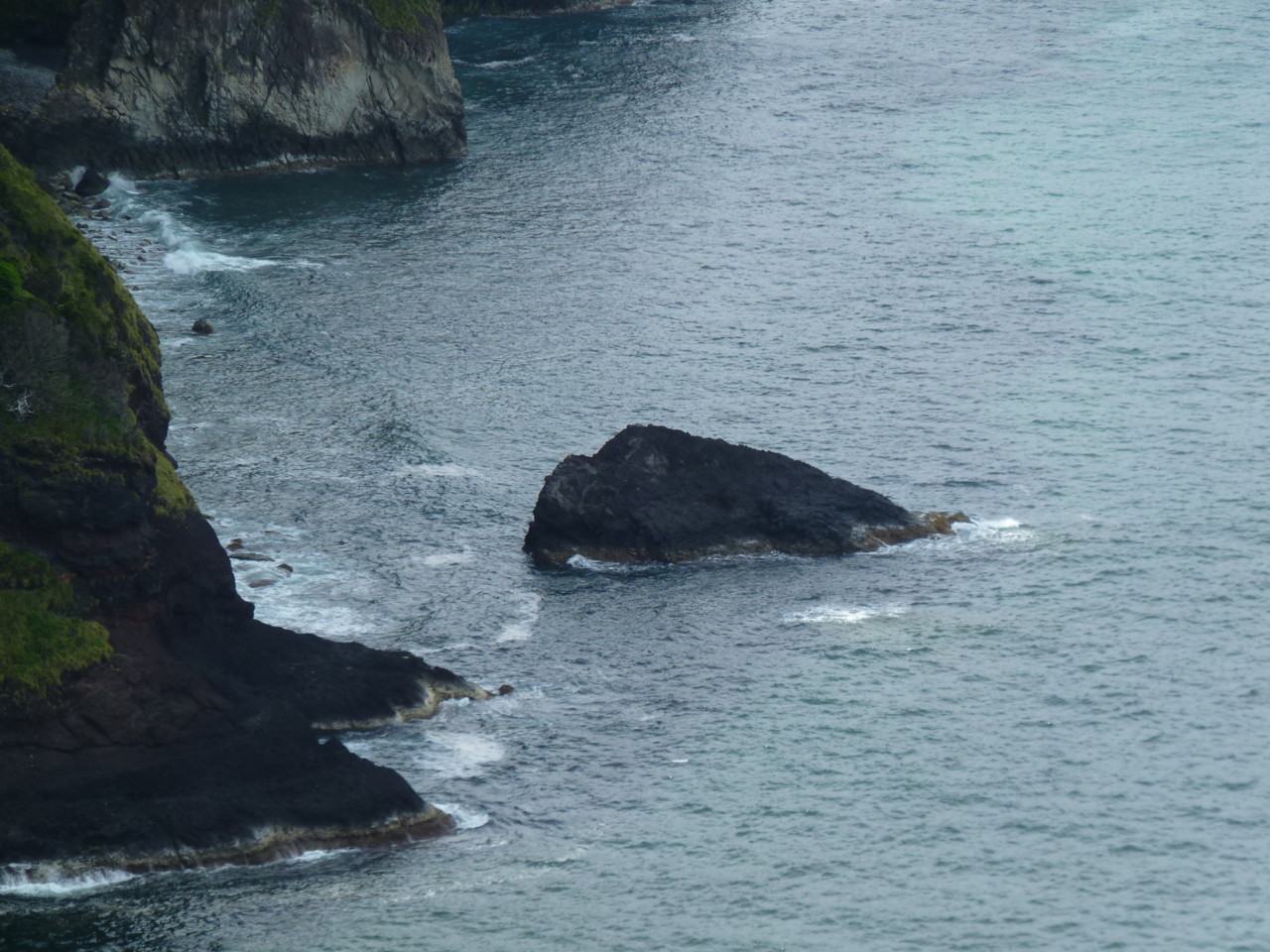 Caimbros, Flores (4).JPG