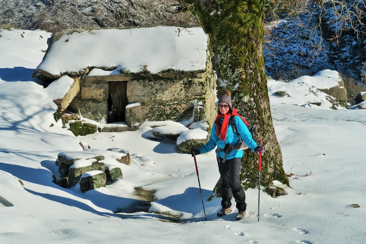 IMG_0035.JPG IMG_0035.JPG