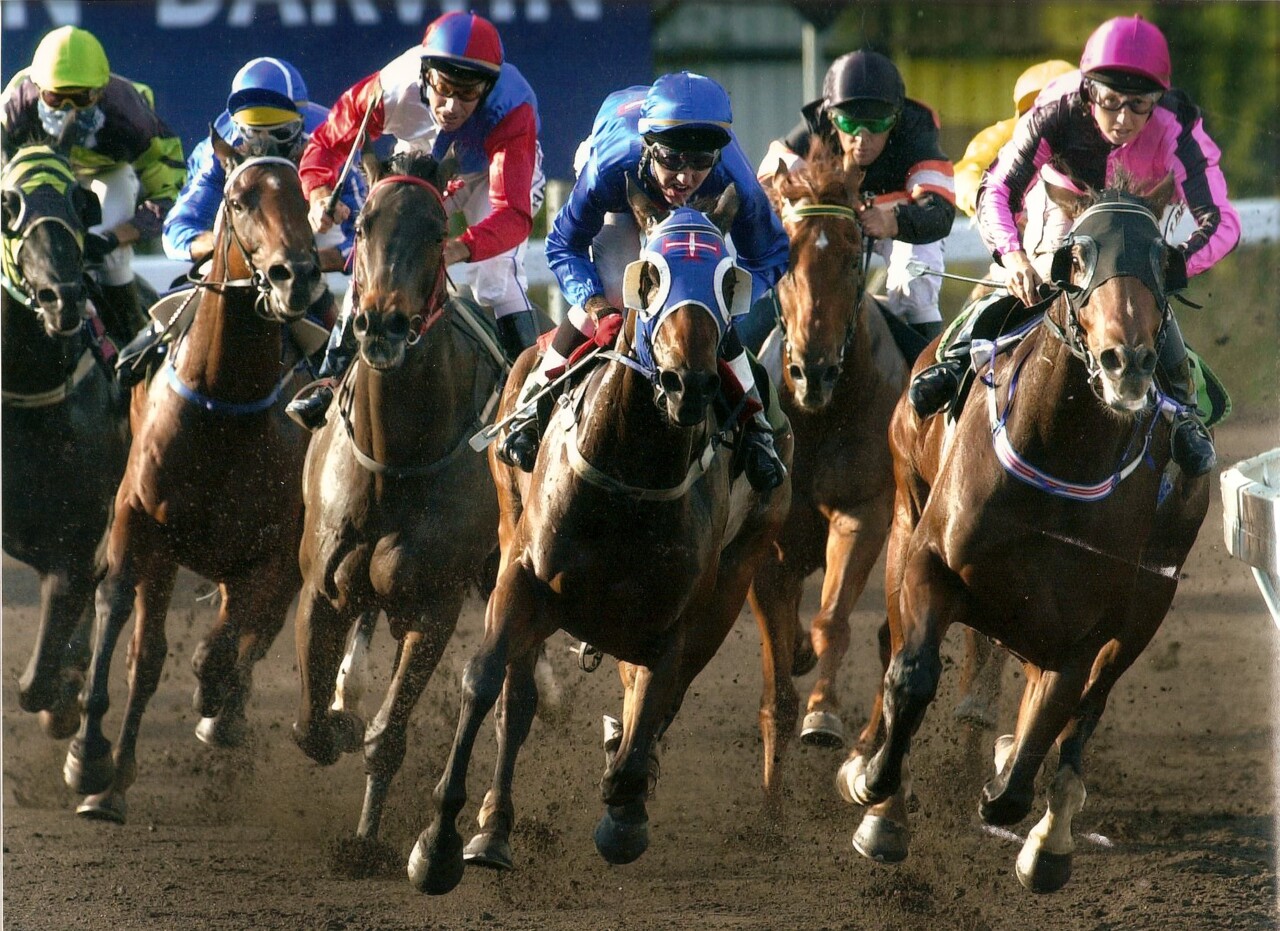 Corrida de cavalos, cavalo do Gijo na frente com a
