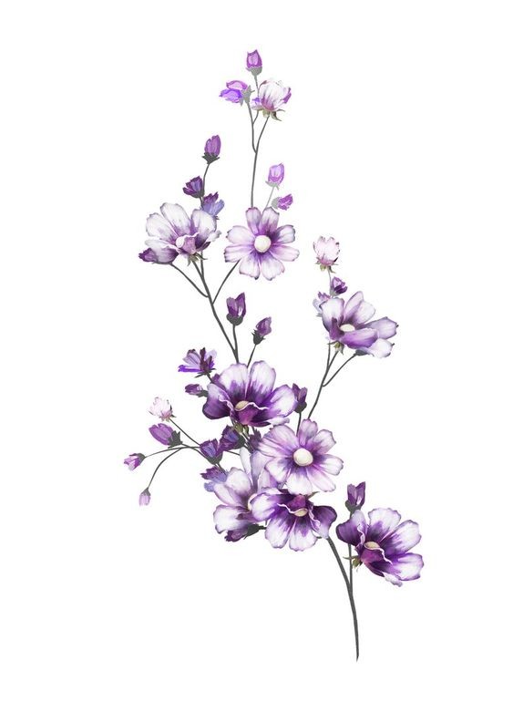 flor lilás2.jpg flor lilás2.jpg