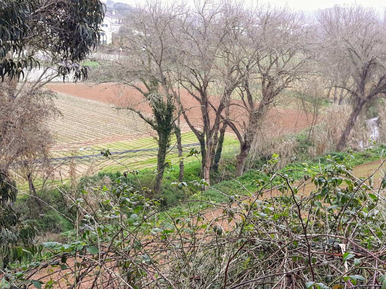 terra lavrada.jpg terra lavrada.jpg