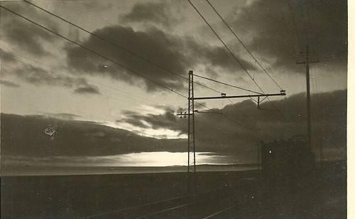 António Pedro Brito de Sousa.jpeg