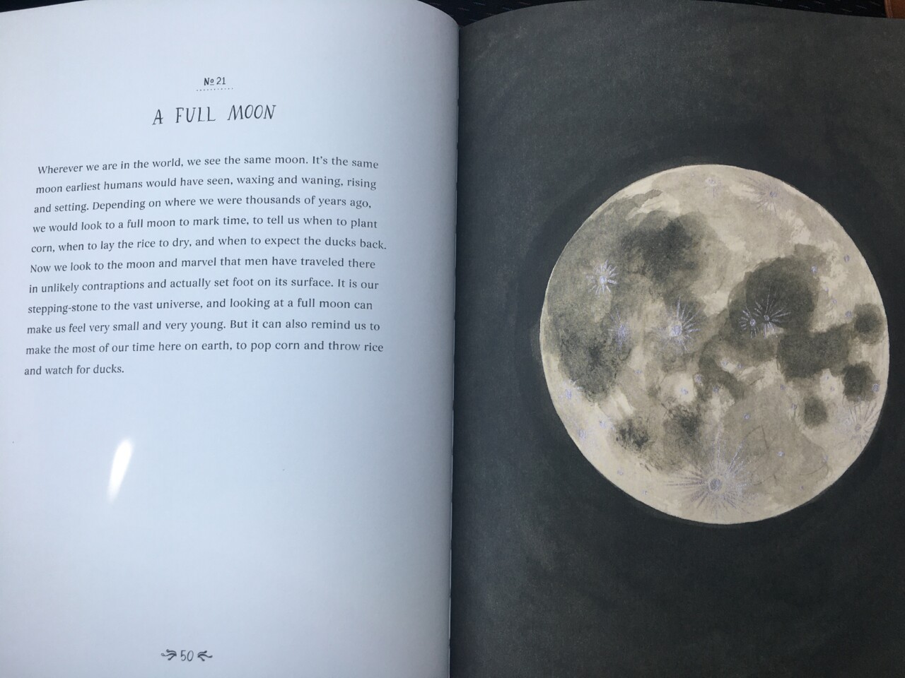 FDF5F3F0-5FF9-464A-ABB6-069BBC91B4B2 (1).jpeg