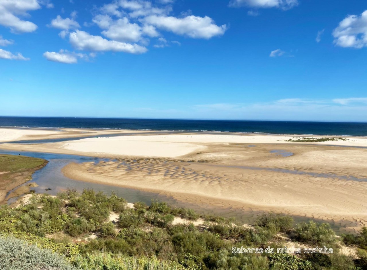 IMG-20200616-WA0006-Vou visitar o mar.jpg