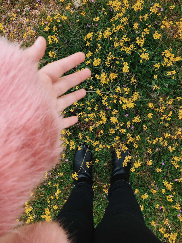 F5D1F7D7-CCB8-4CB5-845D-F3CC979A134E.JPG F5D1F7D7-CCB8-4CB5-845D-F3CC979A134E.JPG