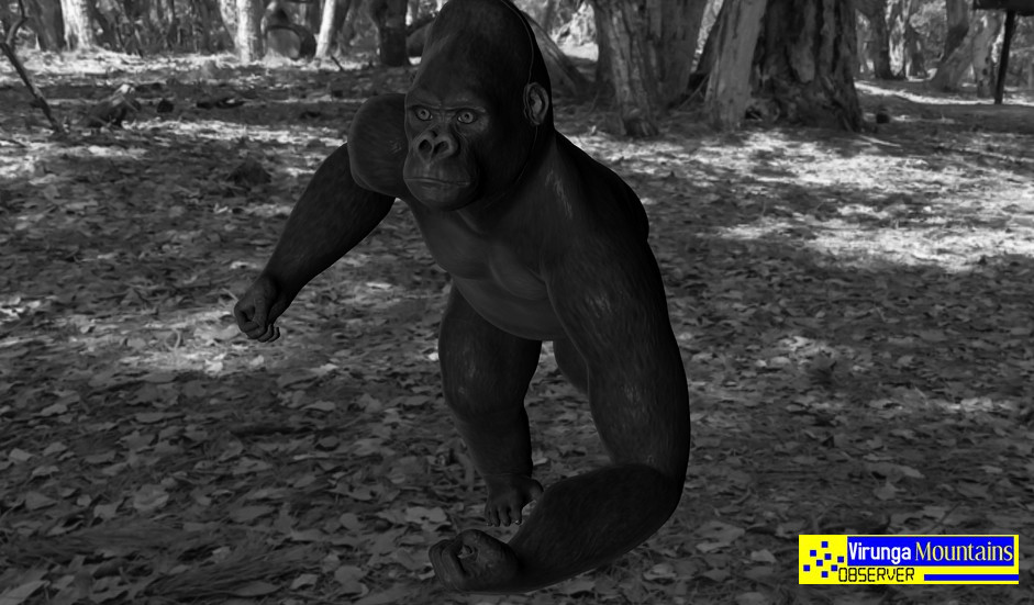 Joram Jojo Joram Jojo