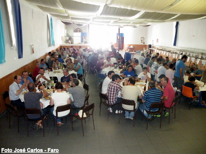 Leilão Ervidel 045.JPG